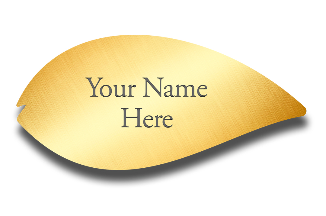 Operation Bright Star Founders Leaf