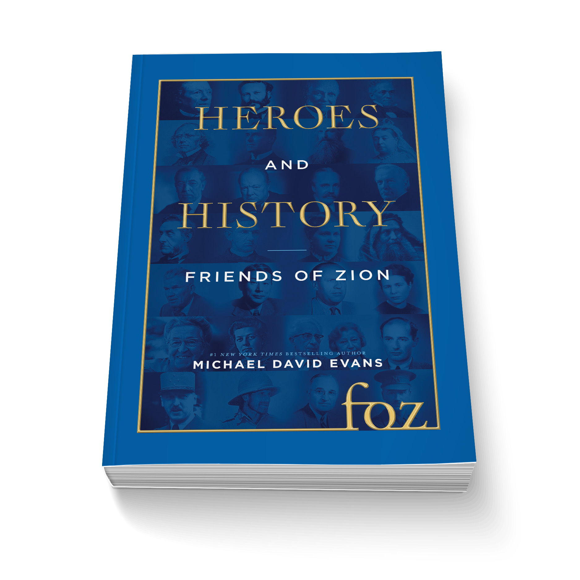 Heroes and History softcover book