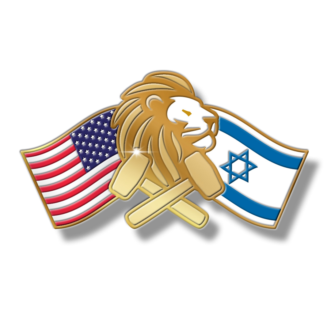 Operations Rising Lion and Midnight Hammer Victory lapel pin