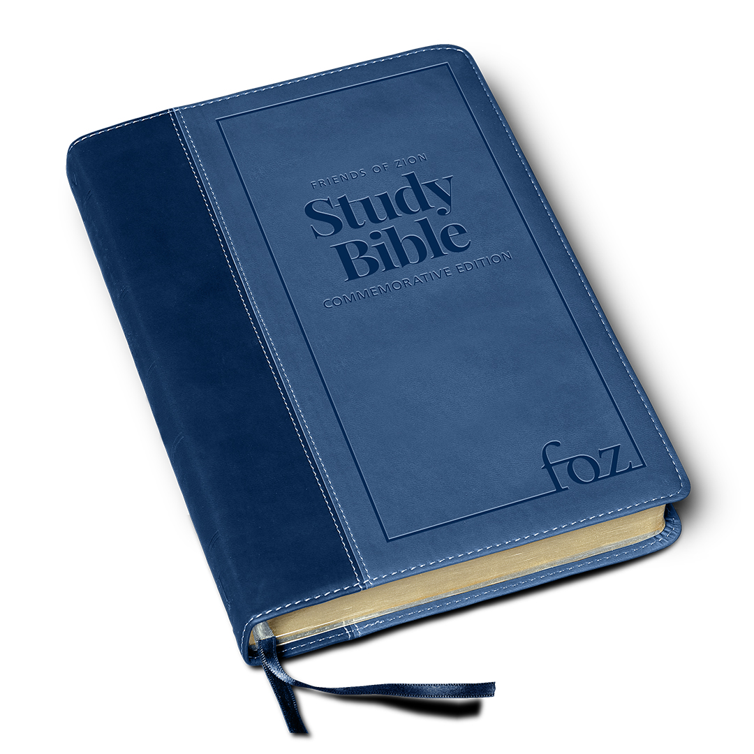 KJV Large Print Reference Bible