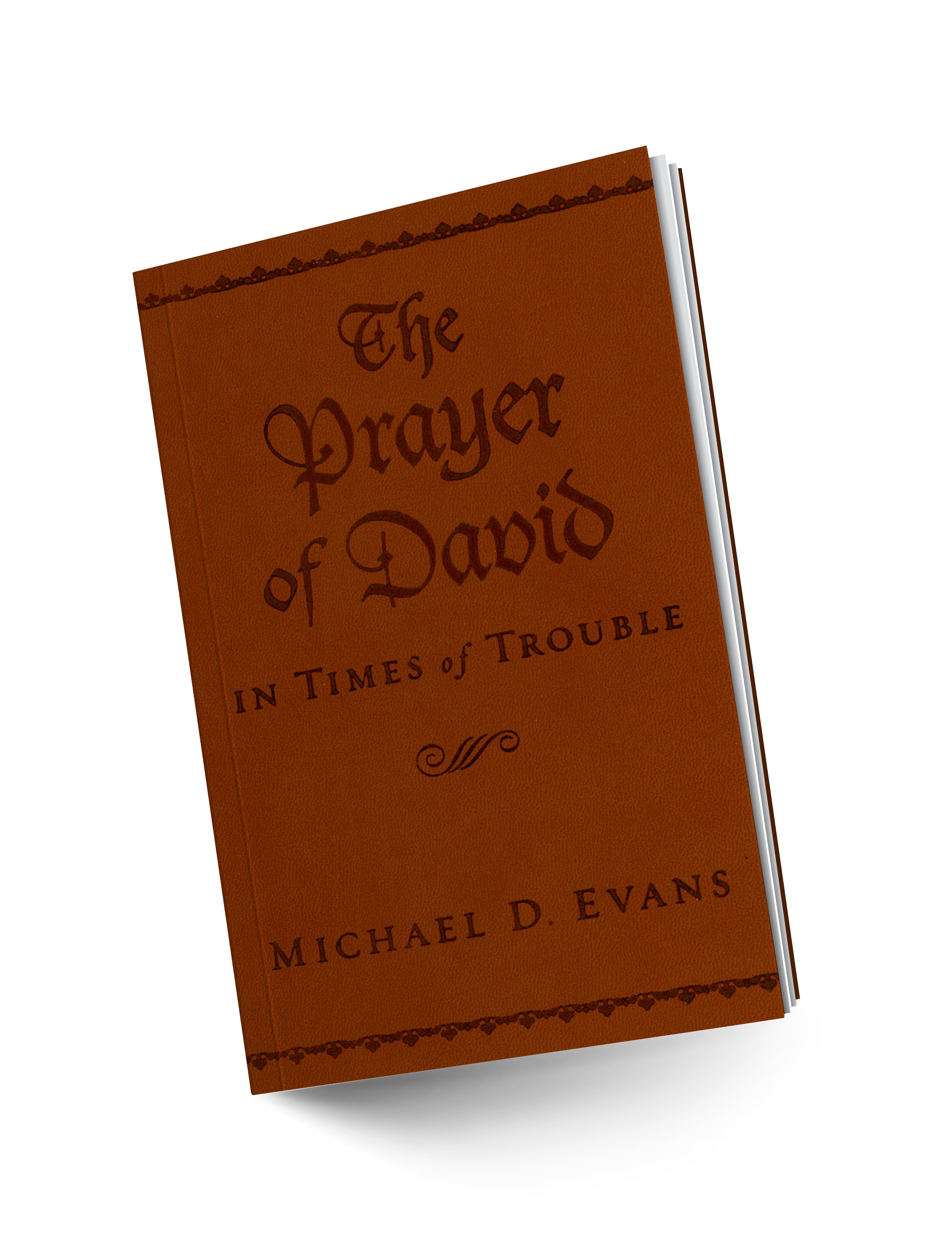 The Prayer of David paperback book